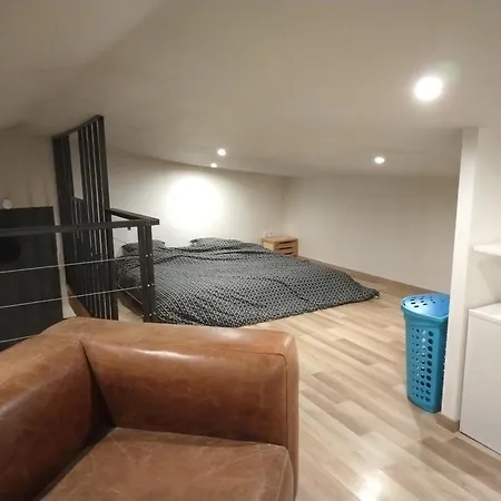 Loft Entier De La Cancette Daire *